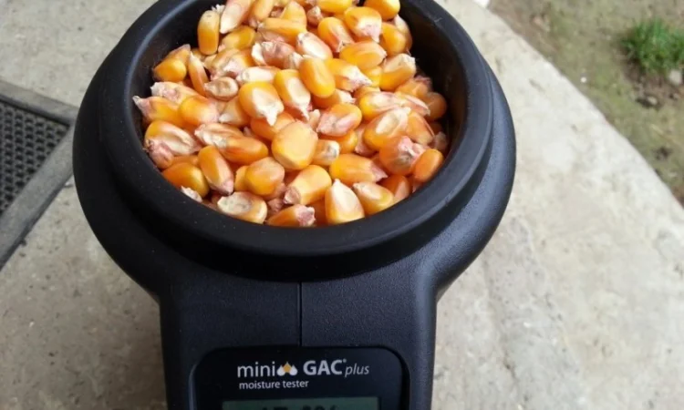 Влагомер Mini GAC по дешевой цене Отличительные особенности и преимущества - фото № 2