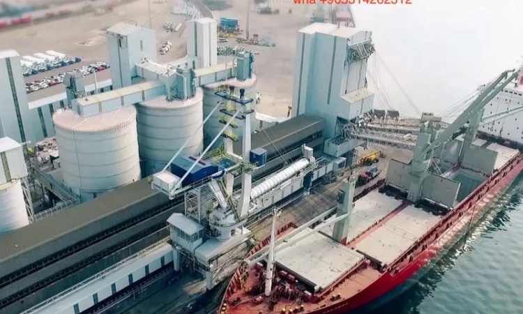 Зерновой перегружатель стамбул, перегружатель сыпучего груза стамбул - фото № 1