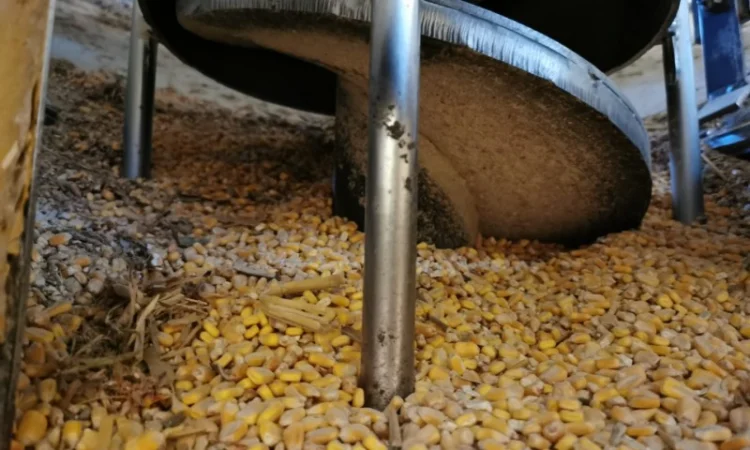 Зерносушилка Agrex AS 400 - фото № 1