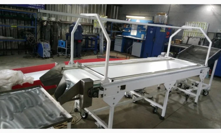 Конвейер ленточный сортировочный инспекционный - фото № 1