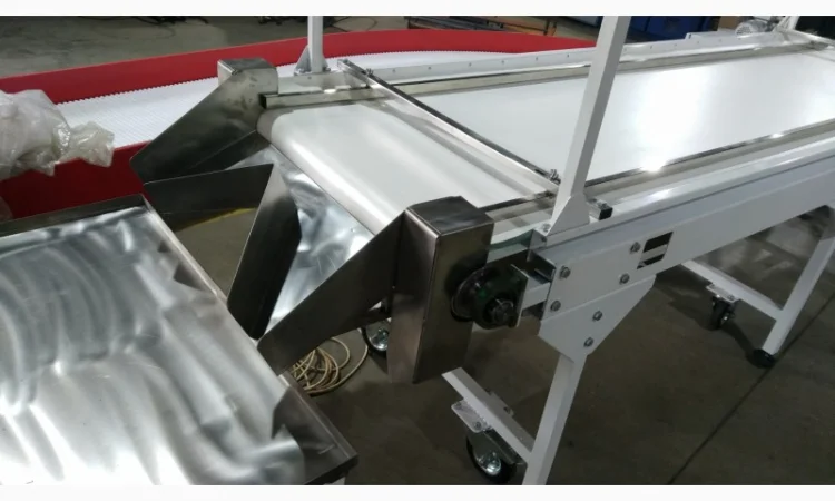 Конвейер ленточный сортировочный инспекционный - фото № 2