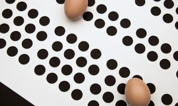 Стрічка збору яєць поліпропіленова - фото № 1