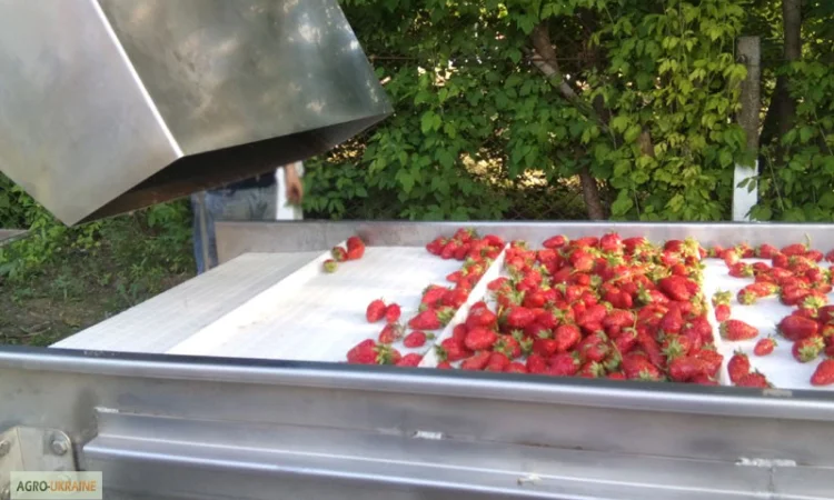 Барботажная моечная машина для мойки овощей и ягод - фото № 1