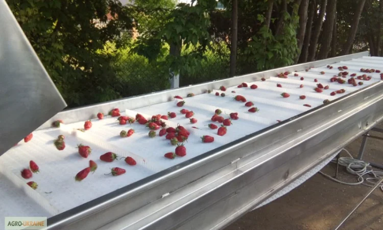 Барботажная моечная машина для мойки овощей и ягод - фото № 2