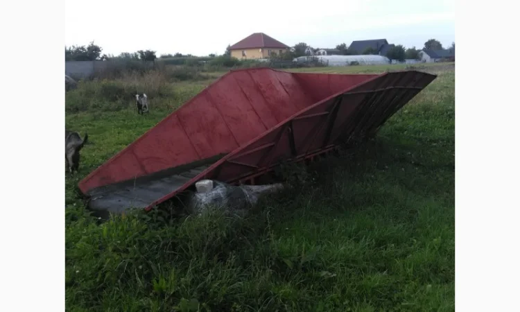 Транспортер ленточний - фото № 4