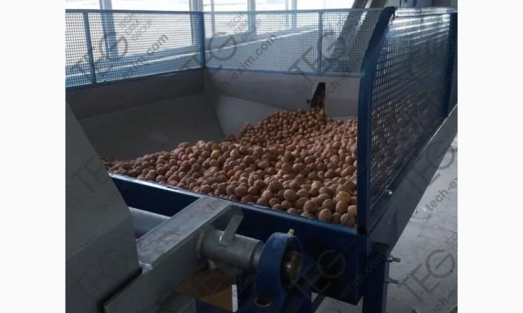 Шнек загрузки горіхів КПГ/2 (навантажувач горіхів, конвеєр) - фото № 5