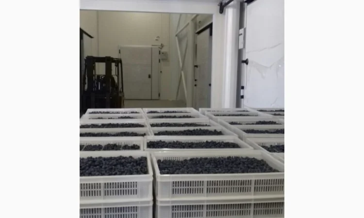 Холодильне, вентеляційне обладнання. МАС-СІСТЕМЗ - фото № 4