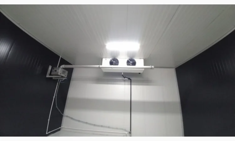 Обладнання для зберігання ягід - фото № 2