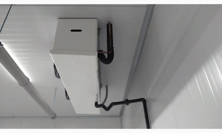 Обладнання для зберігання ягід - фото № 4