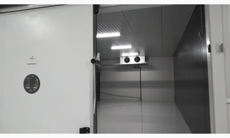 Обладнання для зберігання ягід - фото № 5