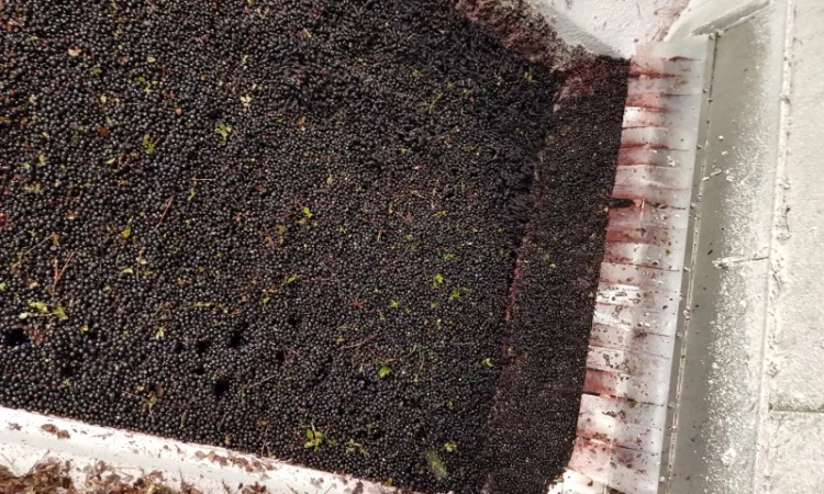 Тонель шокова заморозка IQF - фото № 3