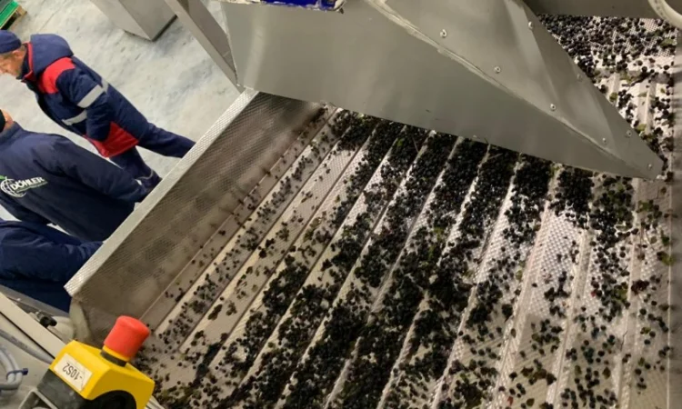 Тонель шокова заморозка IQF - фото № 5