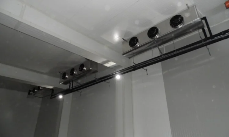 Холодильна камера для зберігання фруктів - фото № 1