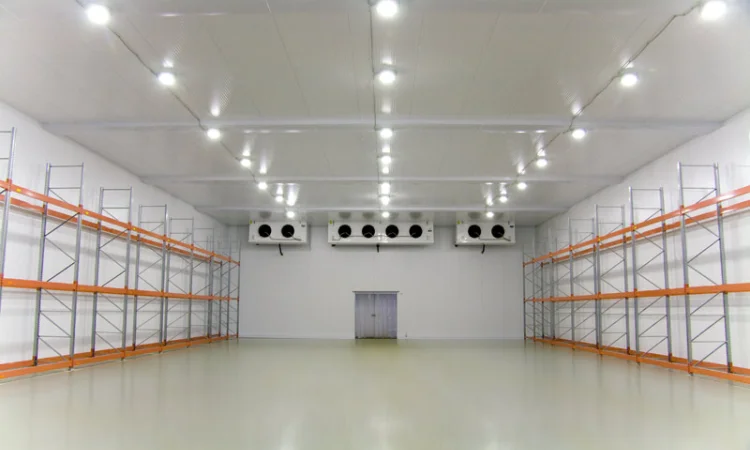 Камера для охлаждения и хранения голубики - фото № 1