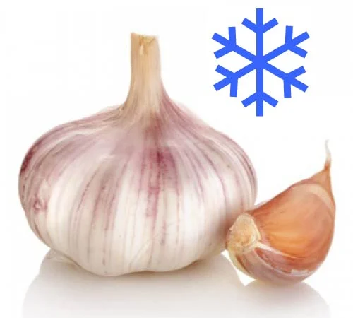 Холодильне обладнання для зберігання часнику - фото № 1