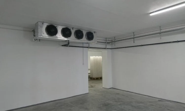 Холодильная камера для охлаждения и хранения голубики - фото № 1