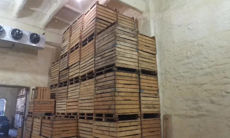 Оренда холодильної камери - фото № 4