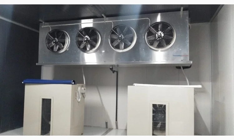 Овоче-Фруктосховище. МасСістемз - фото № 1