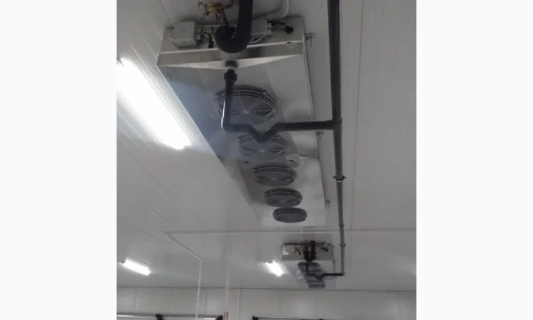 Овоче-Фруктосховище. МасСістемз - фото № 12