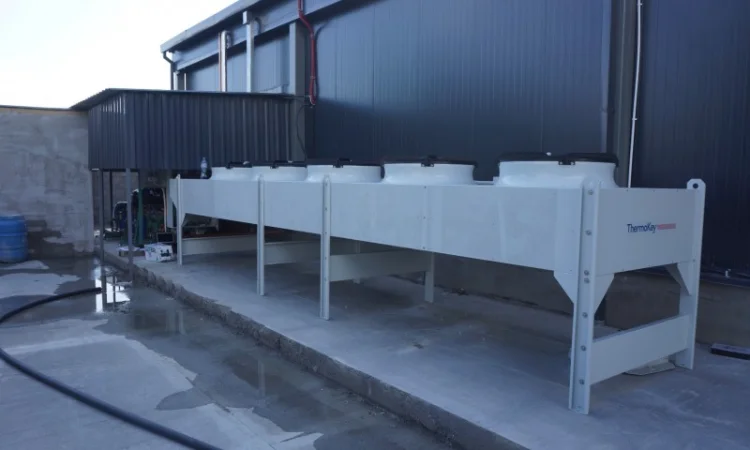 Овоче-Фруктосховище. МасСістемз - фото № 2