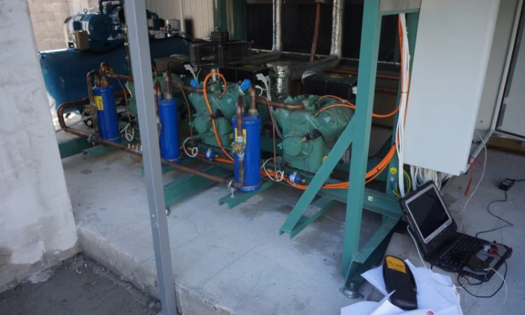 Овоче-Фруктосховище. МасСістемз - фото № 3