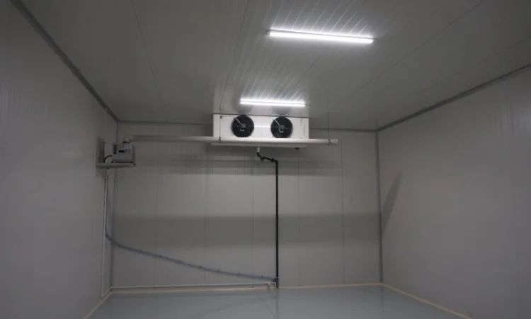 Овоче-Фруктосховище. МасСістемз - фото № 4