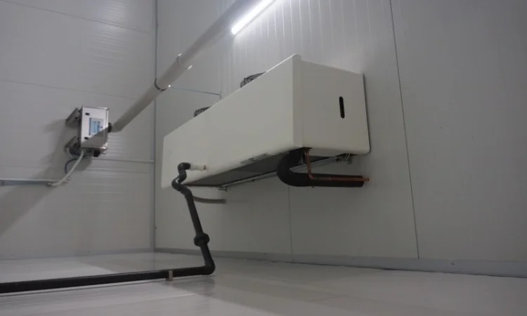 Овоче-Фруктосховище. МасСістемз - фото № 5