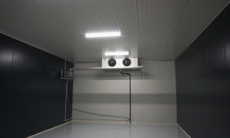 Овоче-Фруктосховище. МасСістемз - фото № 7