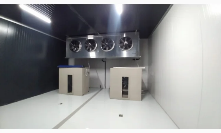 Овоче-Фруктосховище. МасСістемз - фото № 9