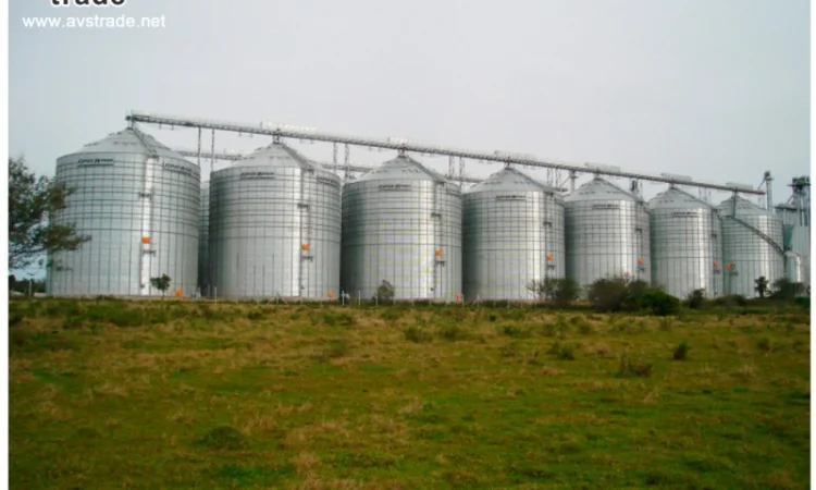 Зернохранилище (Силос) - фото № 1