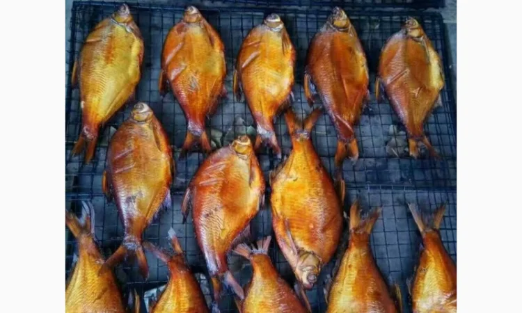 Промислова коптильня гарячого/холодного копчення STvega Smoke House H30 - фото № 7