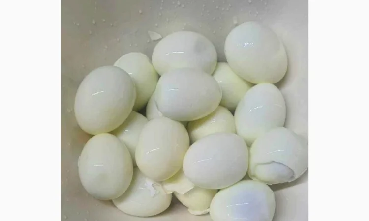 Машина для очищення курячих яєць від шкаралупи STvega Egg HC 2500 Middle - фото № 9