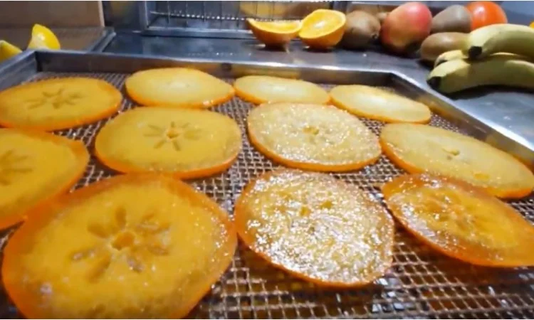 Cушильный инфракрасный шкаф "Фермер-1020" для производства фруктовых чипсов, мясных джерок - фото № 7