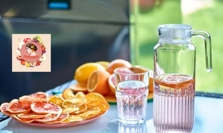 Сушилка инфракрасная "Фрукториана" для сушки яблочных чипсов, мясных чипсов, пастилы - фото № 7