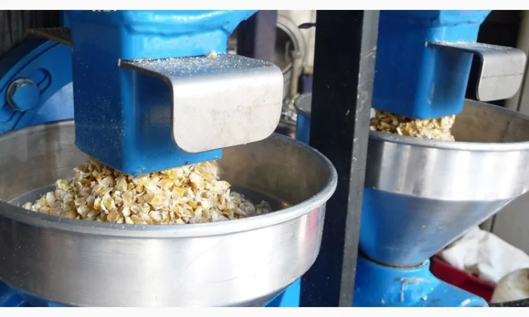 Шнековые маслопрессы Farmet UNO и Farmet DUO - фото № 2