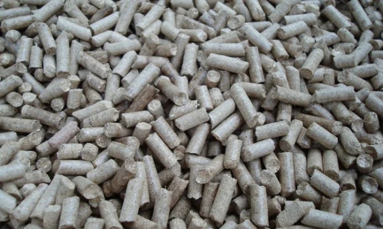 Пресс - грануляторы биомассы MG 100/200/400/600/800/1000 (Чехия) - фото № 4