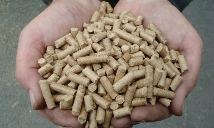 Пресс - грануляторы биомассы MG 100/200/400/600/800/1000 (Чехия) - фото № 6