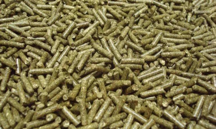 Пресс - грануляторы биомассы MG 100/200/400/600/800/1000 (Чехия) - фото № 7