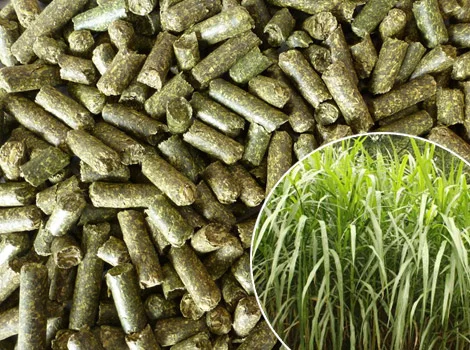 Линия гранулирования люцерны - фото № 1