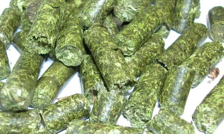 Гранулятор TL700, 75кВт. Продуктивність до 2500 кг.год. Чехія - фото № 3