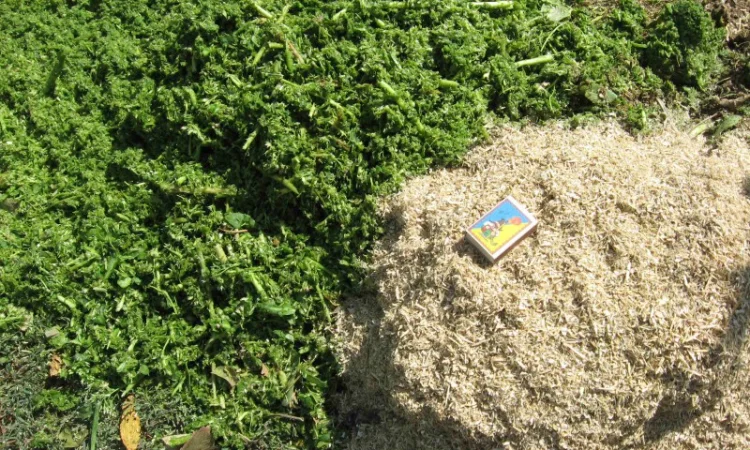 Измельчитель - зернодробилка - Соломорезка "Вихрь -2" 2, 2 Квт, 100Кг/час - фото № 3