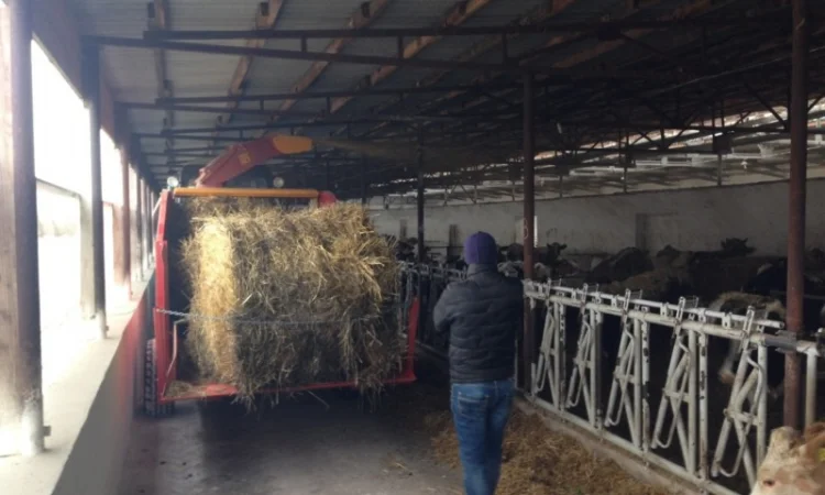 Измельчитель соломы Tomahawk 8555Е - фото № 4