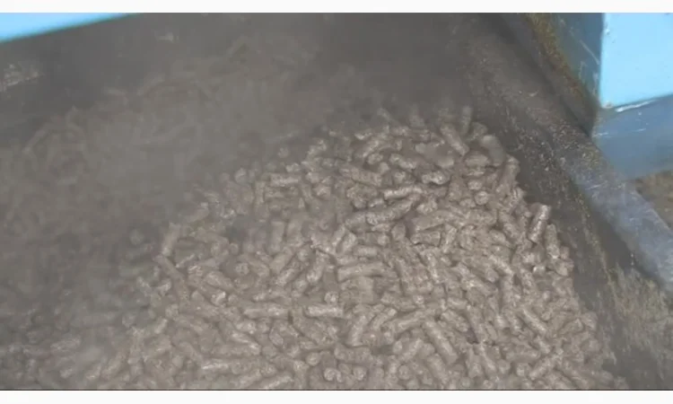 Пресс отжима масла FL 200 от 200 кг час - фото № 3