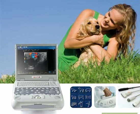 Ветеринарный УЗИ аппарат  MyLab Five Vet - фото № 2