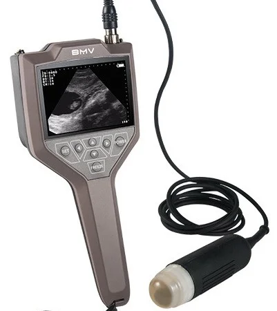 УЗИ сканер для свиноводства FarmScan M30 - фото № 1