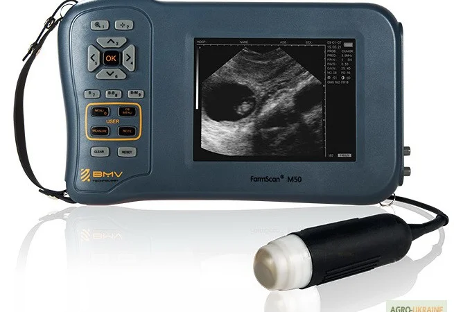 УЗИ сканер для свиноводства FarmScan M50 - фото № 1