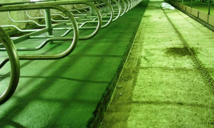 Покрытие для мест содержания животных - фото № 3