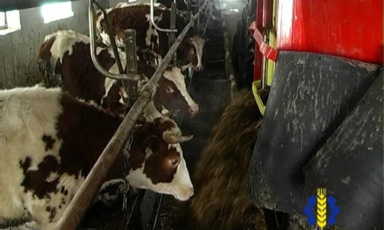 Кормораздатчик - смиситель (Миксер) КРК-11 - фото № 5