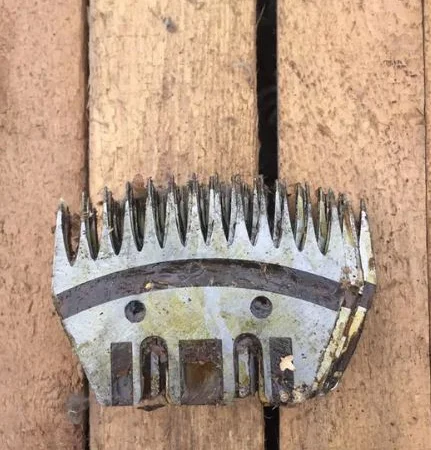 Ножи гребни для стрижки овец - фото № 5