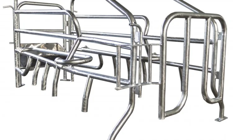 Станки для опороса свиноматок - фото № 1